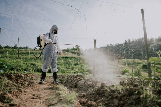 Best Pest Prevention Services  in Doe Valley, KY