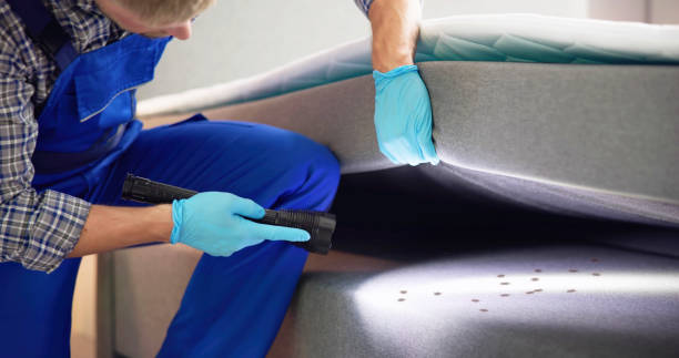 Pest Control for Restaurants in Doe Valley, KY
