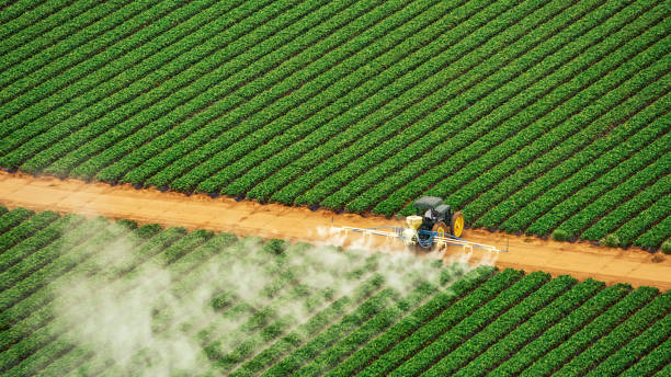 Professional Pest Control in Doe Valley, KY