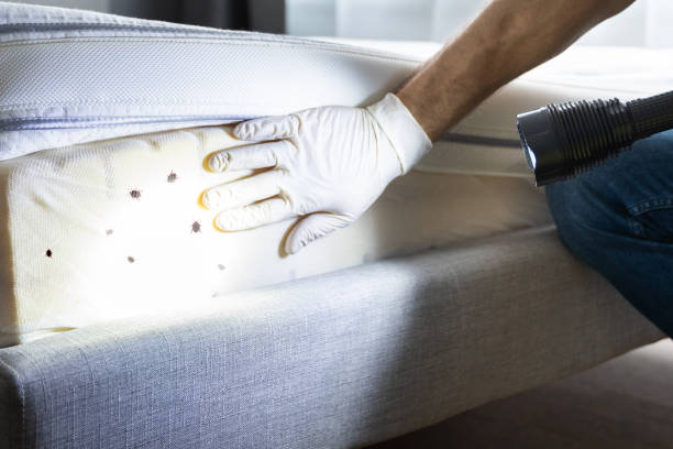 Best Pest Inspection Near Me  in Doe Valley, KY