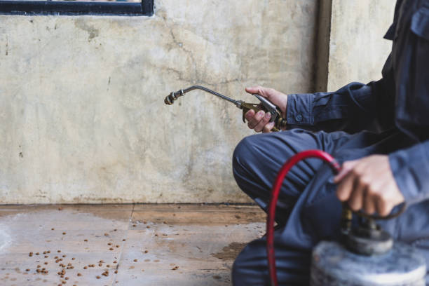Best Rat Extermination Near Me  in Doe Valley, KY