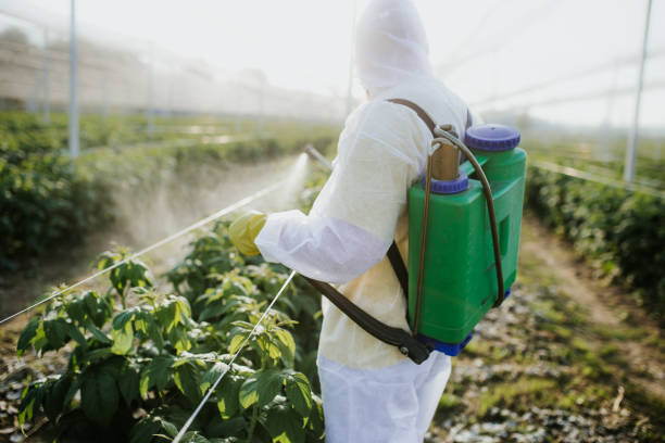 Best Flea Control Services  in Doe Valley, KY